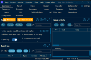 Burp Suite web application security testing interface.